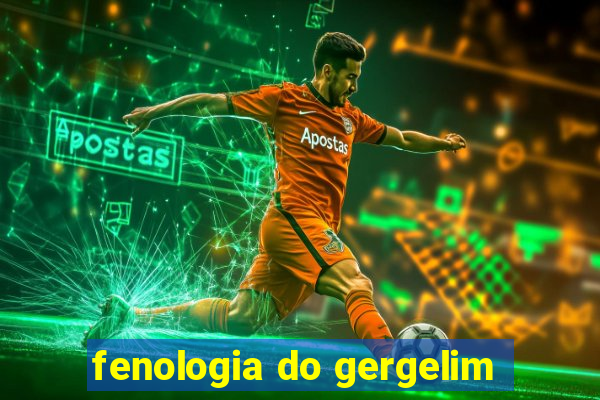 fenologia do gergelim